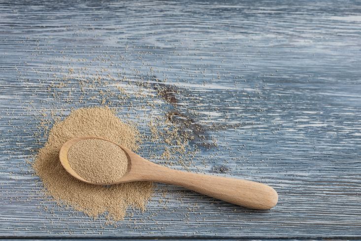 Bierhefe Brewing Yeast powder